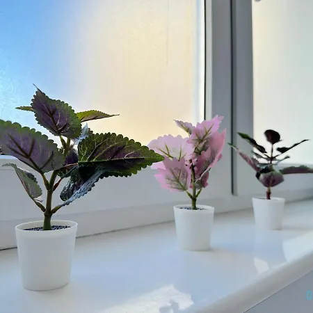 Homestay Stary Gleboka 14 P5 Gdansk